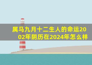 属马九月十二生人的命运2002年阴历在2024年怎么样