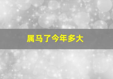 属马了今年多大