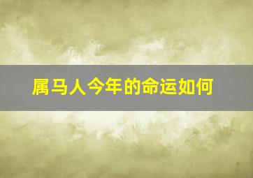 属马人今年的命运如何