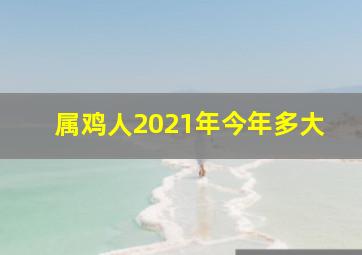 属鸡人2021年今年多大