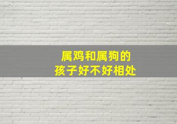 属鸡和属狗的孩子好不好相处