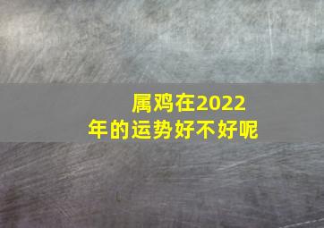 属鸡在2022年的运势好不好呢