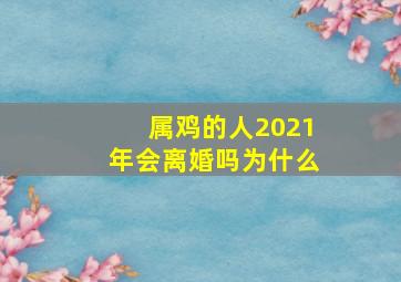 属鸡的人2021年会离婚吗为什么