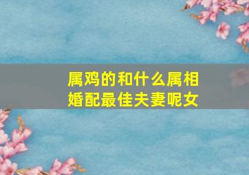 属鸡的和什么属相婚配最佳夫妻呢女