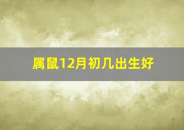 属鼠12月初几出生好