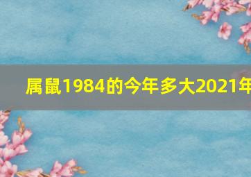 属鼠1984的今年多大2021年