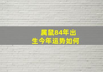 属鼠84年出生今年运势如何