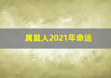 属鼠人2021年命运