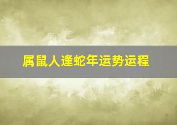 属鼠人逢蛇年运势运程