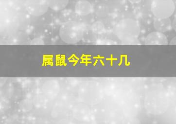 属鼠今年六十几