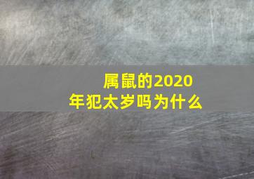 属鼠的2020年犯太岁吗为什么