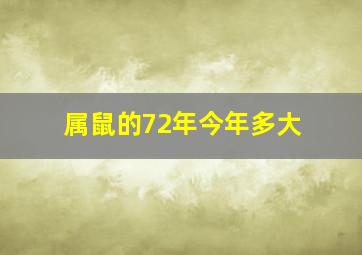 属鼠的72年今年多大