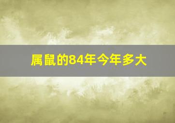 属鼠的84年今年多大