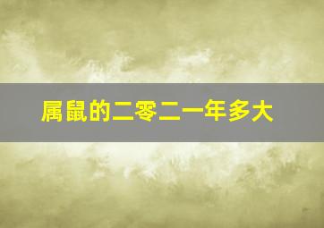 属鼠的二零二一年多大