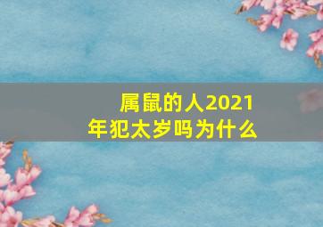 属鼠的人2021年犯太岁吗为什么