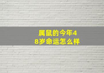 属鼠的今年48岁命运怎么样