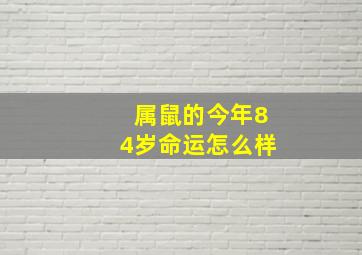 属鼠的今年84岁命运怎么样