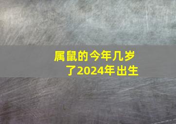 属鼠的今年几岁了2024年出生