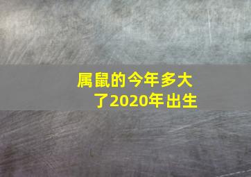 属鼠的今年多大了2020年出生