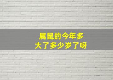 属鼠的今年多大了多少岁了呀