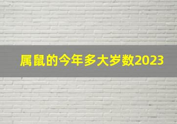 属鼠的今年多大岁数2023