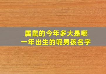 属鼠的今年多大是哪一年出生的呢男孩名字