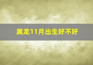 属龙11月出生好不好