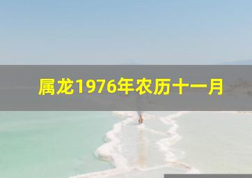 属龙1976年农历十一月