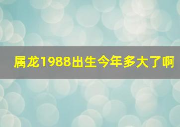 属龙1988出生今年多大了啊