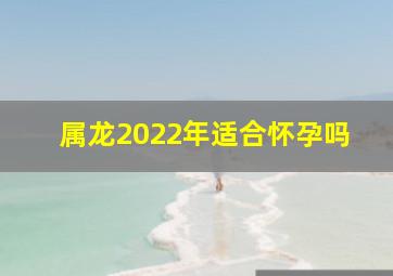 属龙2022年适合怀孕吗