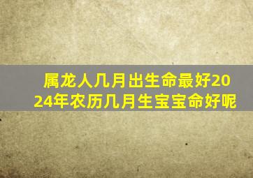 属龙人几月出生命最好2024年农历几月生宝宝命好呢