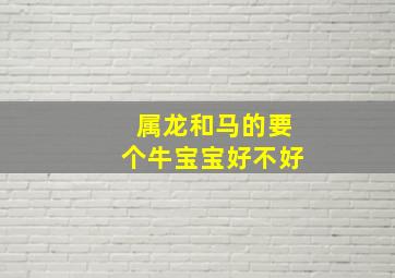 属龙和马的要个牛宝宝好不好