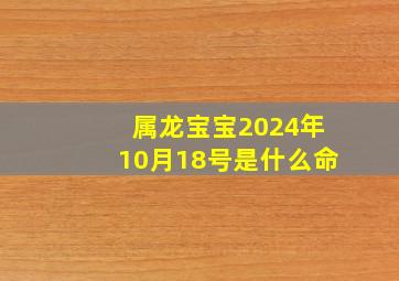 属龙宝宝2024年10月18号是什么命