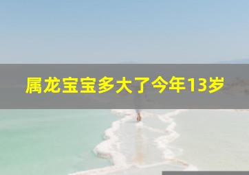 属龙宝宝多大了今年13岁