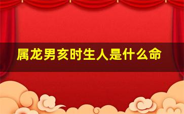 属龙男亥时生人是什么命