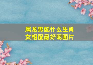 属龙男配什么生肖女相配最好呢图片