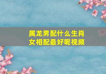 属龙男配什么生肖女相配最好呢视频