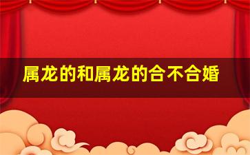 属龙的和属龙的合不合婚