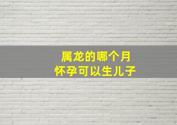 属龙的哪个月怀孕可以生儿子