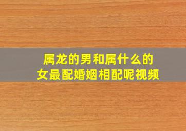 属龙的男和属什么的女最配婚姻相配呢视频