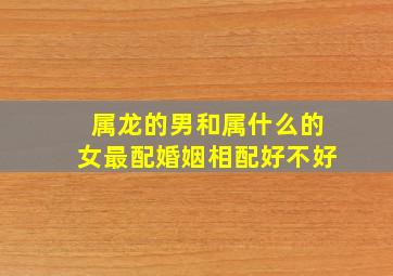 属龙的男和属什么的女最配婚姻相配好不好