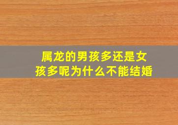 属龙的男孩多还是女孩多呢为什么不能结婚