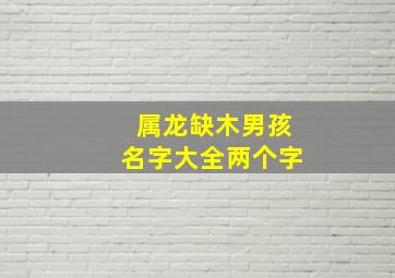 属龙缺木男孩名字大全两个字