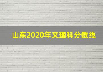 山东2020年文理科分数线