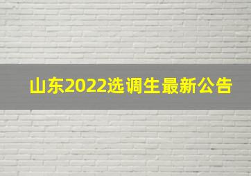 山东2022选调生最新公告