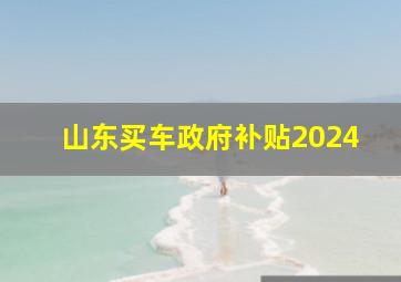 山东买车政府补贴2024