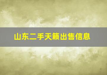 山东二手天籁出售信息