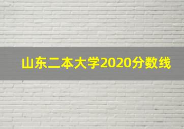 山东二本大学2020分数线