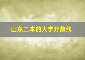 山东二本的大学分数线