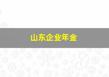 山东企业年金